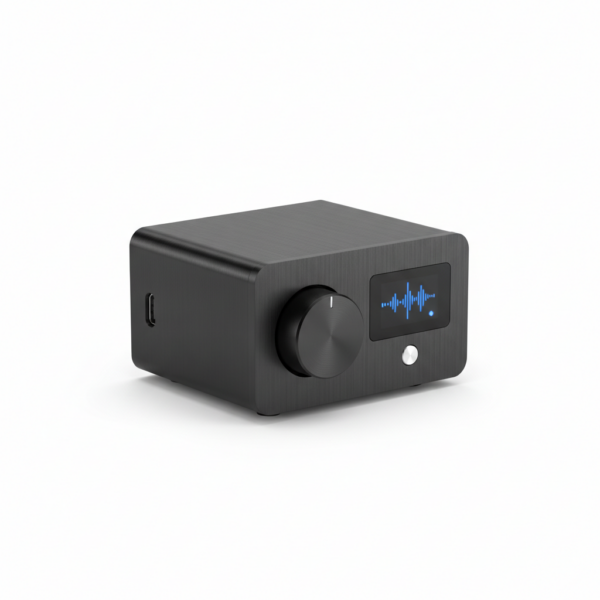 ARIA D-100 USB-DAC